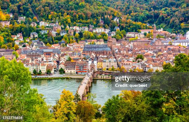 heidelberg skyline - heidelberg tyskland bildbanksfoton och bilder