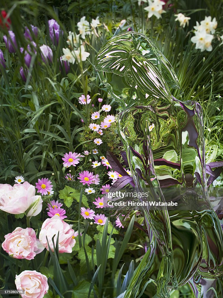 Invisible girl watching flowers in a garden