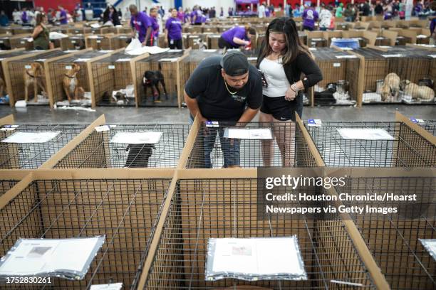 People look at dogs available for adoption during Petco Love's Mega Adoption Event on Saturday, Oct. 21 at the George R. Brown Convention Center in...