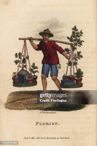 Chinese florist selling miniature trees and bushes, Penjing or Penzai, from a bamboo yoke, Qing Dynasty. Handcoloured copperplate engraving by Andrea...