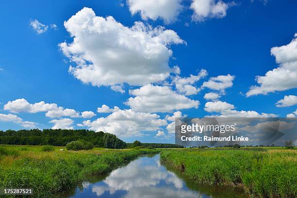 river and landscape - schleswig holstein stock pictures, royalty-free photos & images