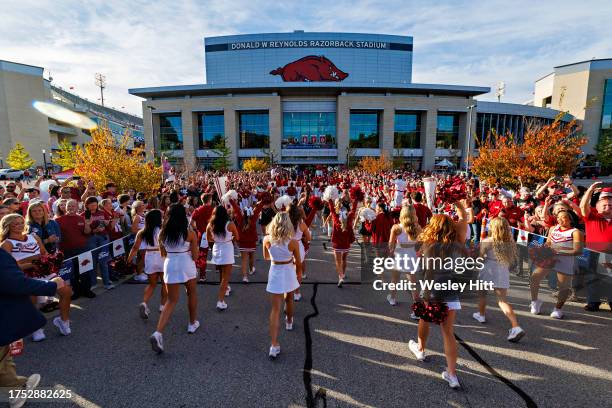 Arkansas Razorbacks Cheer 1,432 Arkansas Cheerleaders Stock Photos, High-Res Pictures, and Images ...