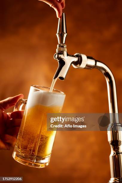 Beer Server 85 Beer Server Stock Photos, High-Res Pictures, and Images - Getty Images