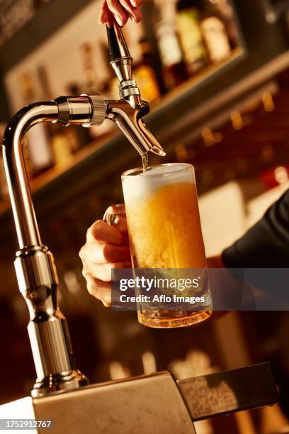 Beer Server 131 Beer Server Stock Photos, High-Res Pictures, and Images - Getty Images