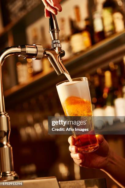 Beer Server 133 Beer Server Stock Photos, High-Res Pictures, and Images - Getty Images