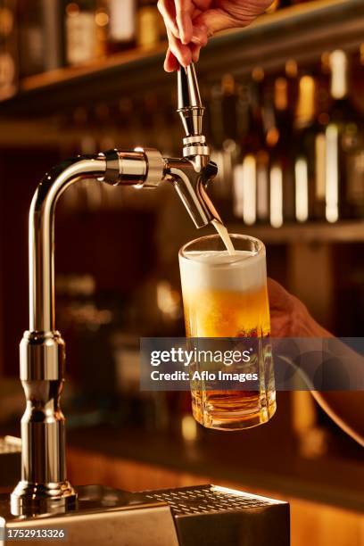 Beer Server 133 Beer Server Stock Photos, High-Res Pictures, and Images - Getty Images