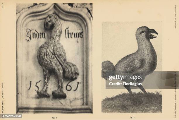 Heliotype Examples 62 Heliotype Stock Photos, High-Res Pictures, and Images - Getty Images