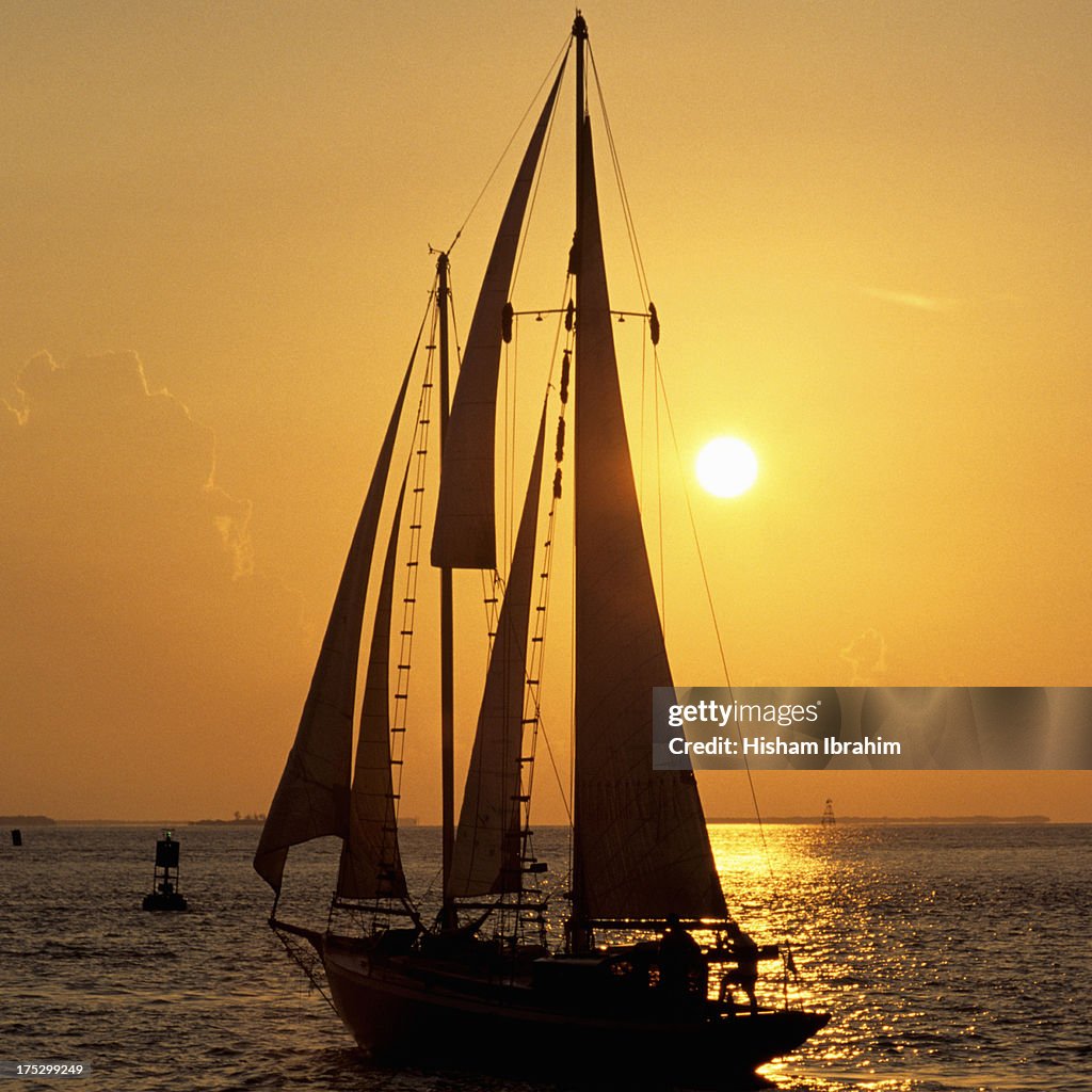 Sailboat sailing in golden sunset light, Miami