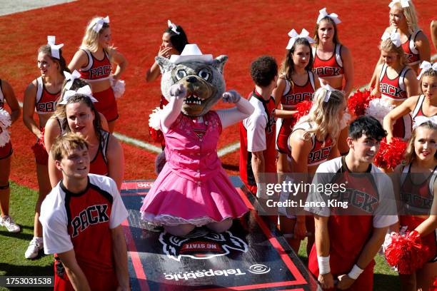 Ms. Wuf and cheerleaders of the NC State Wolfpack perform during the game against the Clemson Tigers at Carter-Finley Stadium on October 28, 2023 in...