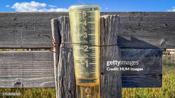 Rain gauge on a fence post at a New Mexico ranch shows an overnight rainfall of about 1/4 of an inch ca. 2022.