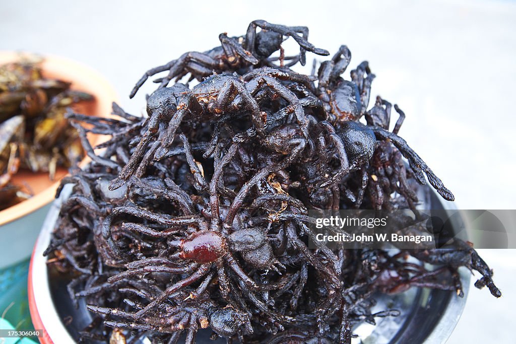 Deep fried Tarantula spiders