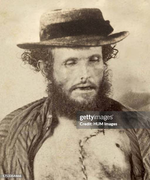 143 Bushranger Stock Photos, High-Res Pictures, and Images - Getty Images