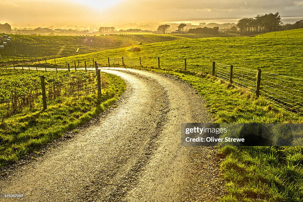 Country road in a sun shower
