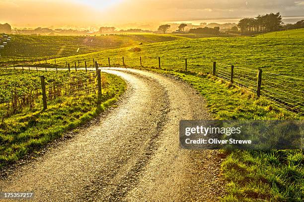 country road in a sun shower - new zealand farm stock pictures, royalty-free photos & images