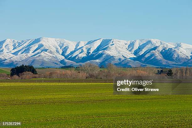 farmland central otago - coberto de neve imagens e fotografias de stock
