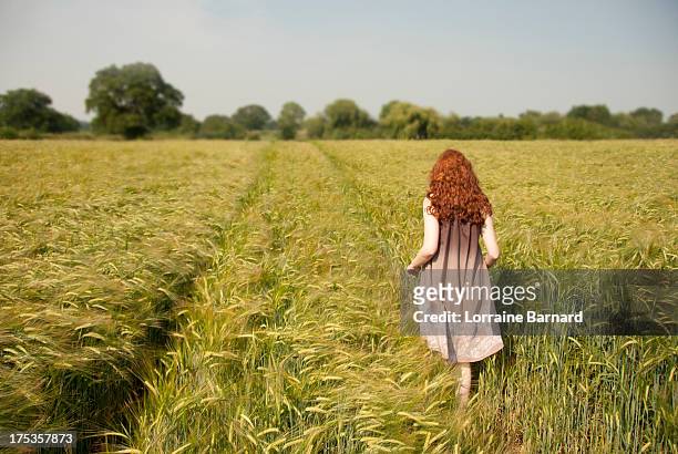 girl with long hair walking through cornfield - may 16 stock pictures, royalty-free photos & images