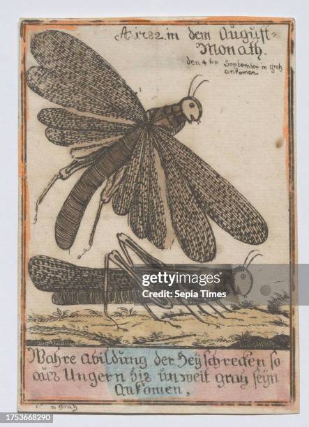 Wahre Abbildung der Heyschrecken so, aus Ungern bis unweit gratz seyn, ankomen.', Unknown paper, colorised, copperplate engraving, height 13, 6 cm,...