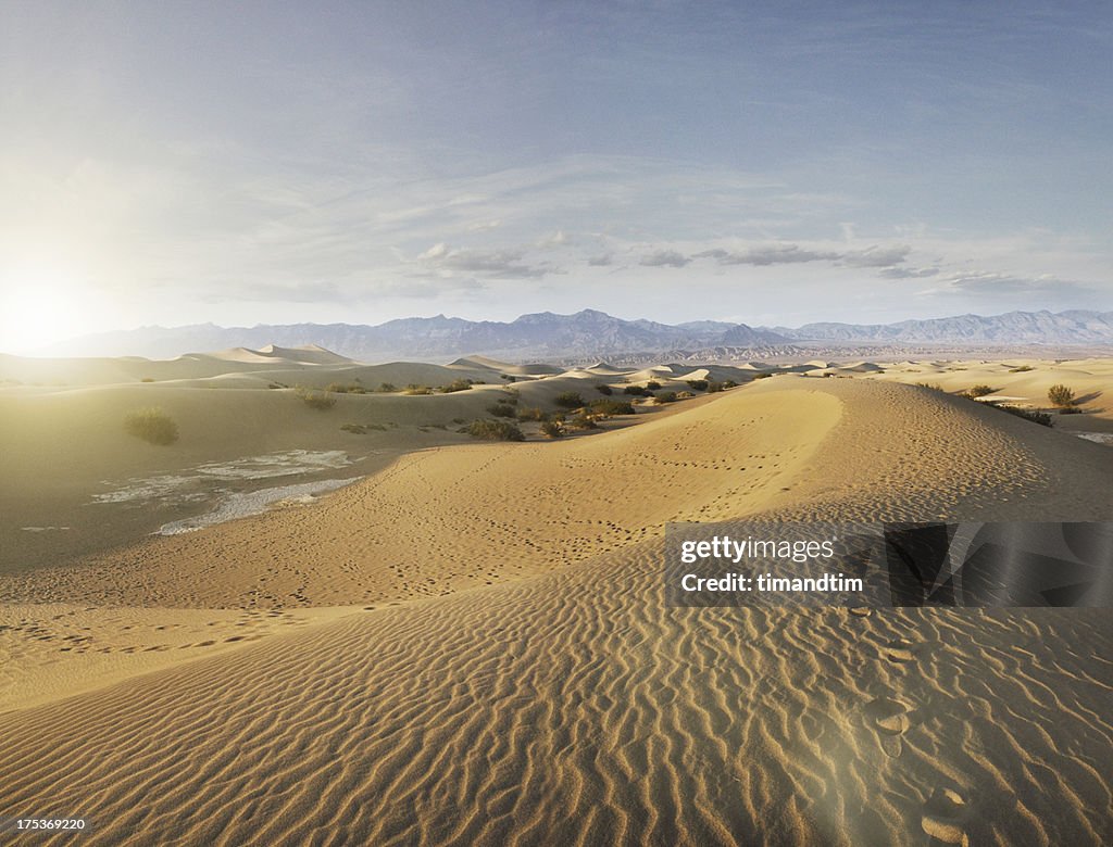 Empty dunes