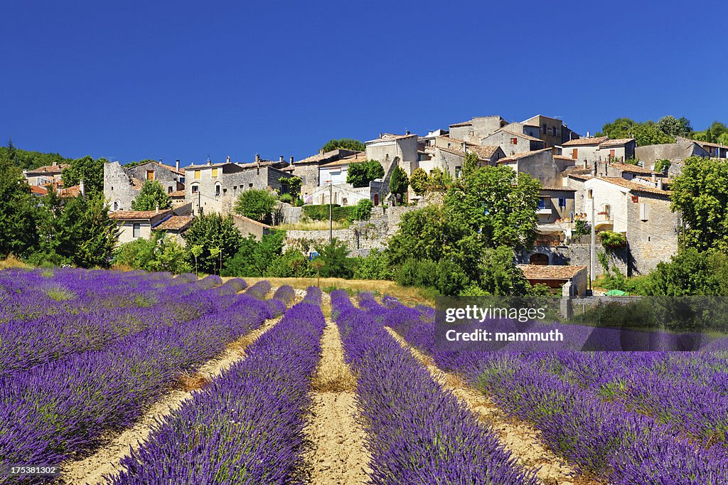 Lavendel Feld mit einer kleinen Stadt in der Provence