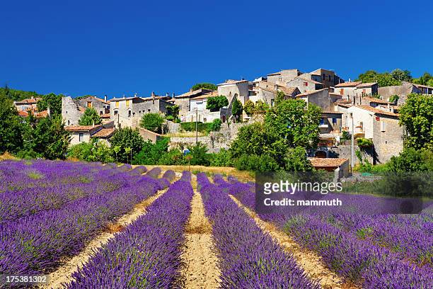 champ de lavande avec une petite ville en provence - provence alpes côte d'azur photos et images de collection