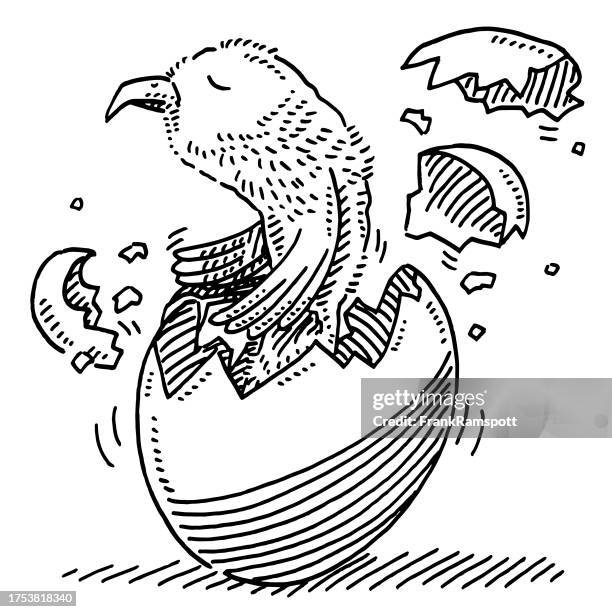 hatching bird from egg drawing - egg shell stock illustrations