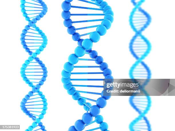 dna strands - dna spiral stock pictures, royalty-free photos & images