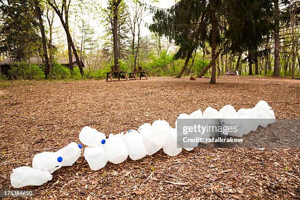 recycling program in forest preserve - milk jug stock pictures, royalty-free photos & images