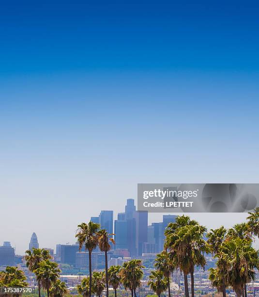 los angeles - hollywood california stock pictures, royalty-free photos & images