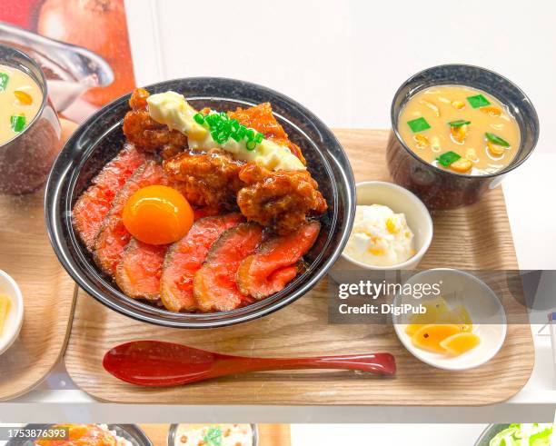 beef and chicken rice bowl teishoku model - takuan stockfoto's en -beelden