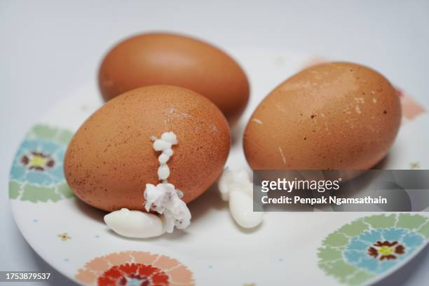 boiled egg - hard boiled eggs stock-fotos und bilder