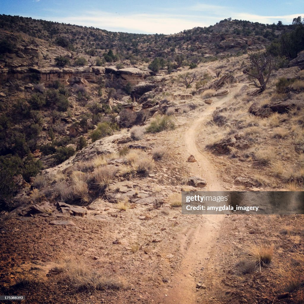 Paisagem do deserto de trilho