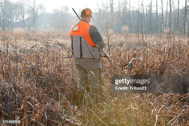 faisán hunt con perro - pheasant hunting fotografías e imágenes de stock