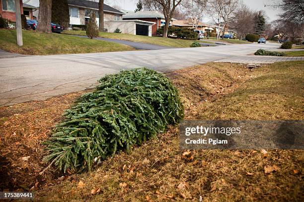 christmas tree on the curb for garbage - curb stock pictures, royalty-free photos & images