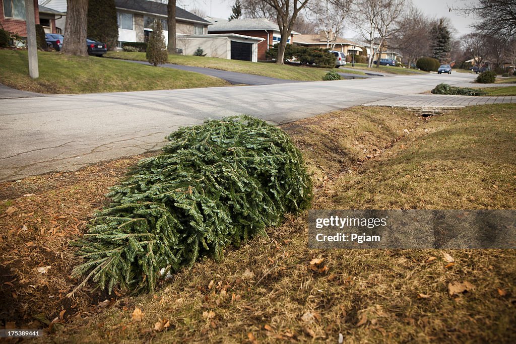 Árvore de Natal sobre o lixo para o lixo