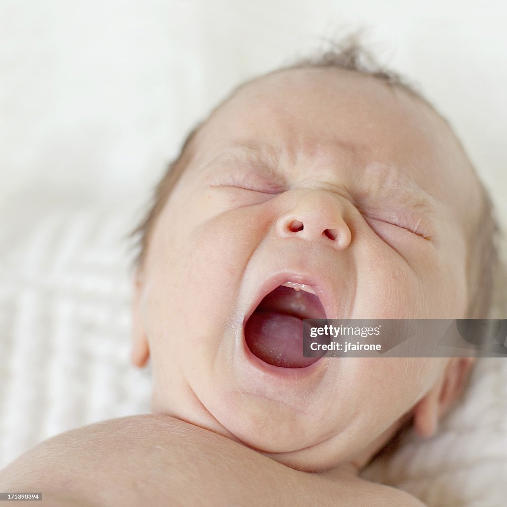 Newborn baby yawning. Close up.  Square composition