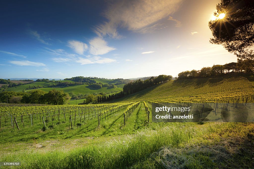 Italian Landscape