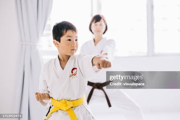 クラスで空手を習っている若い日本の男の子 - 空手 ストックフォトと画像