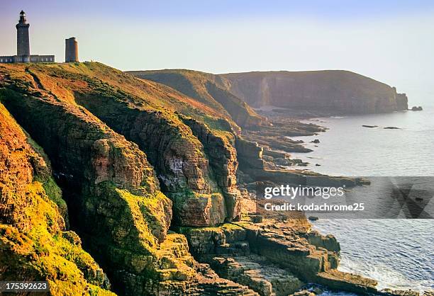 aerial view of the brittany coast - cotes d'armor 個照片及圖片檔