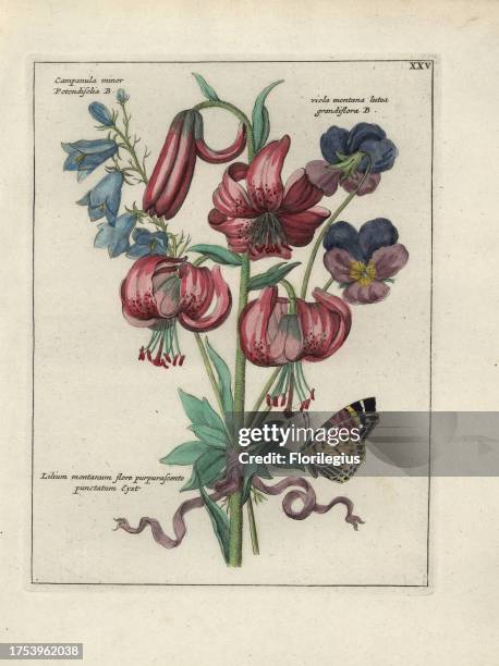 Turk's-cap lily, Lilium martagon, harebell, Campanula rotundifolia and pansy, Viola montana, tied with a ribbon, with a butterfly perched on a leaf....