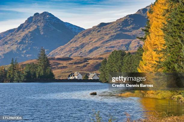 autumn colours in the trossachs, loch arklet,  near inversnaid, perthshire, scotland,  uk - the trossachs stock pictures, royalty-free photos & images