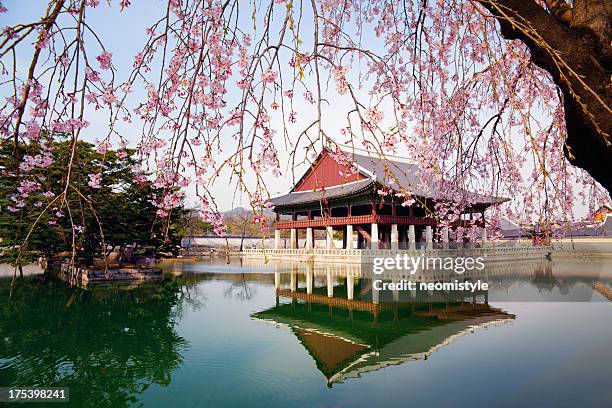 palais gyeongbokgung - séoul photos et images de collection