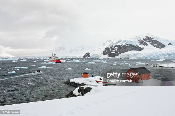 almirante brown - antarctic peninsula stock-fotos und bilder