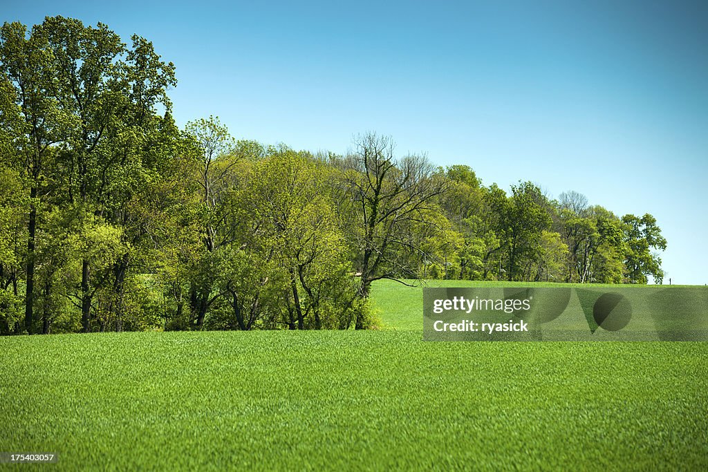 Farm Meadow And Tree Line In Spring High-Res Stock Photo - Getty Images