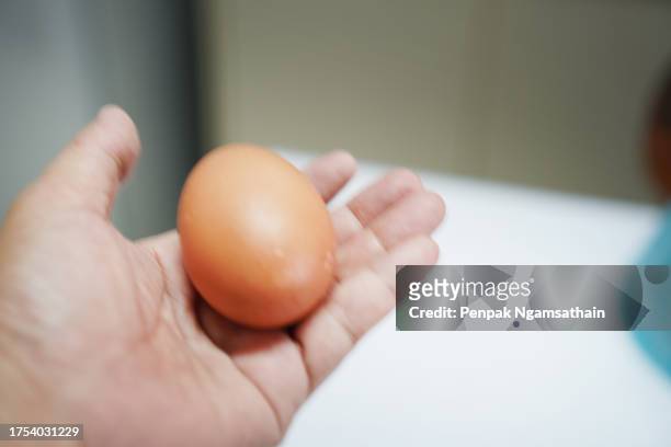boiled egg in hand - hard boiled eggs stock-fotos und bilder