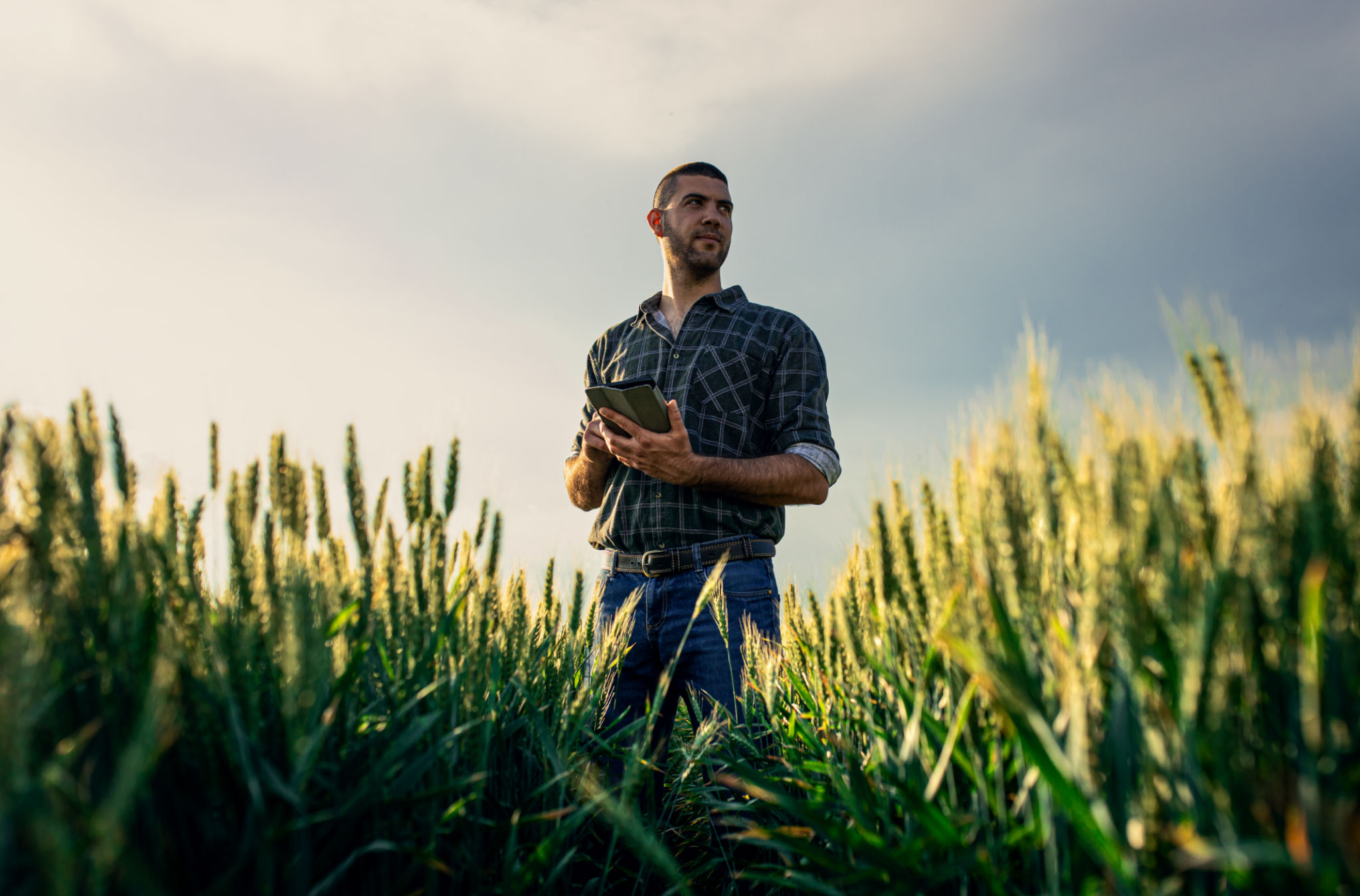 sustainable farming