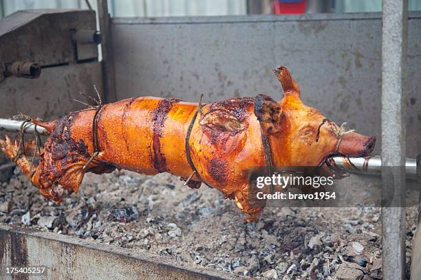 130 Hog Tied Stock Photos, High-Res Pictures, and Images - Getty Images