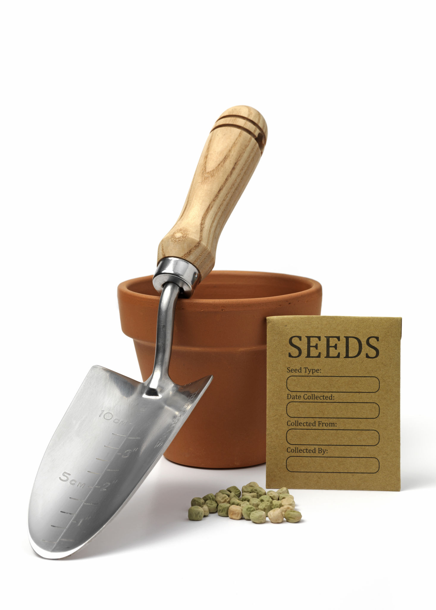 seed packets