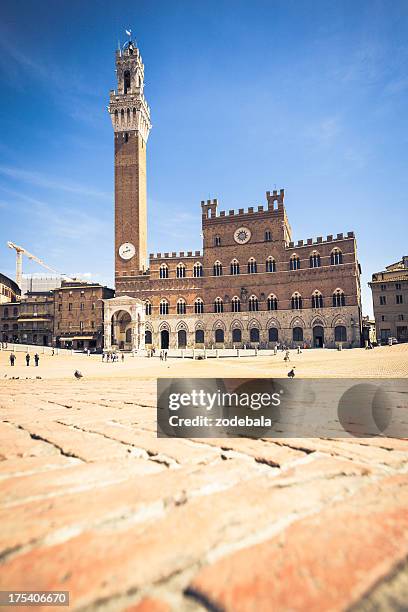 piazza del campo of siena - piazza del campo stock pictures, royalty-free photos & images