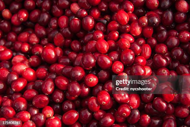 fresh cranberry background - cranberries stock pictures, royalty-free photos & images