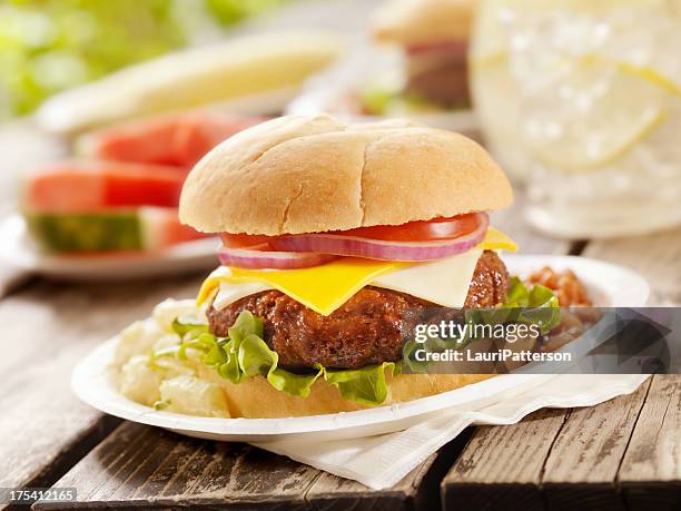 cheeseburger and lemonade - paper plate stock pictures, royalty-free photos & images